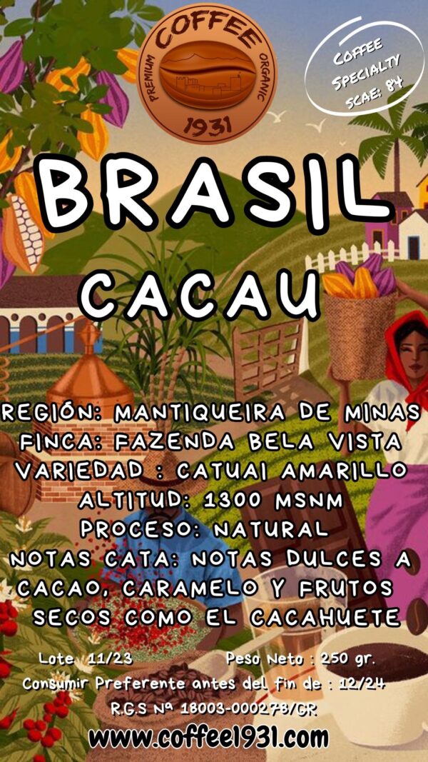 Brasil CACAU  (Coffee Specialty 84 Sca)
