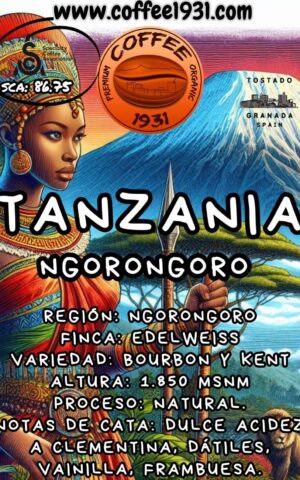 Café Tanzania Ngorongoro (Sca 86.75 Puntos)