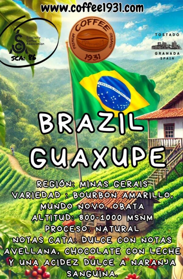 Café Brasil Guaxupe (Sca 86)