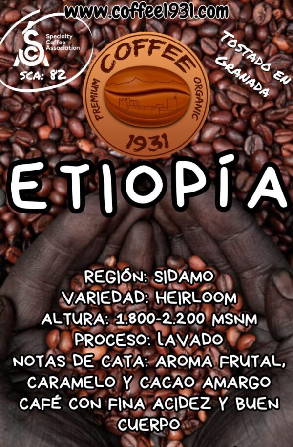 Café ETIOPIA SIDAMO (Sca 82)