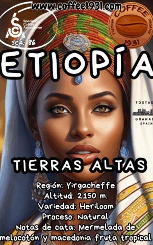 Café Etiopía Tierras Altas (86 Sca)