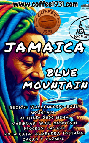 Café Jamaica Blue Mountain (88 Sca)