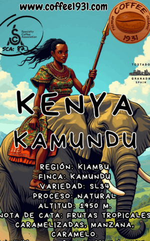Café Kenya Kamundu (87 Sca)