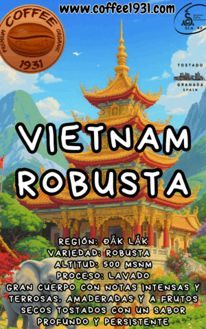 Café Vietnam Robusta  (Coffee Specialty 80 Sca)