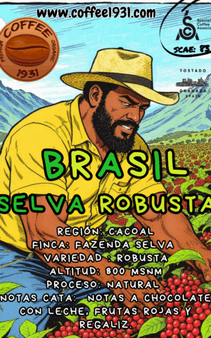 Café Brasil Selva Robusta  (Coffee Specialty 83 Sca)