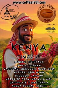 Kenya Cimazul (Coffee Specialty 86 Sca)