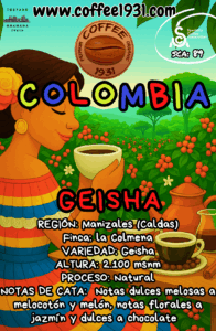 Colombia Geisha (89 Sca)