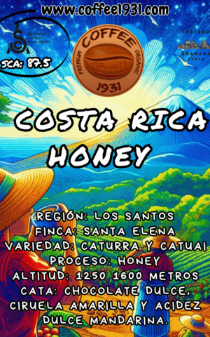 Costa Rica Honey (Coffee Specialty 87.5 Sca)