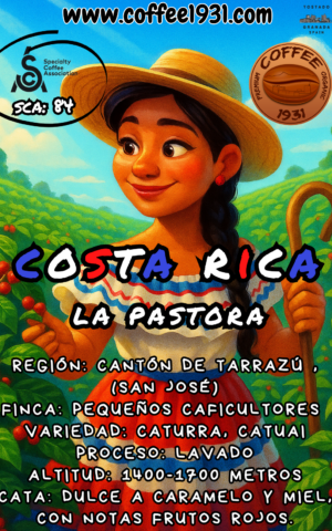 Costa Rica "La Pastora" (Coffee Specialty 84 Sca)