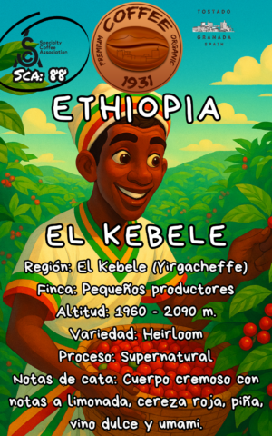 Ethiopía El Kebel8 (Coffee Specialty 87 Sca)