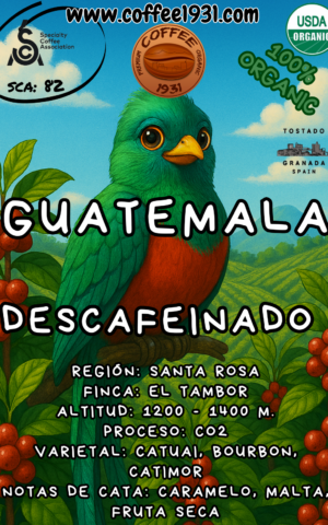Descafeinado Guatemala (Coffee Specialty 82 Sca)